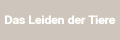 Das Leiden der Tiere